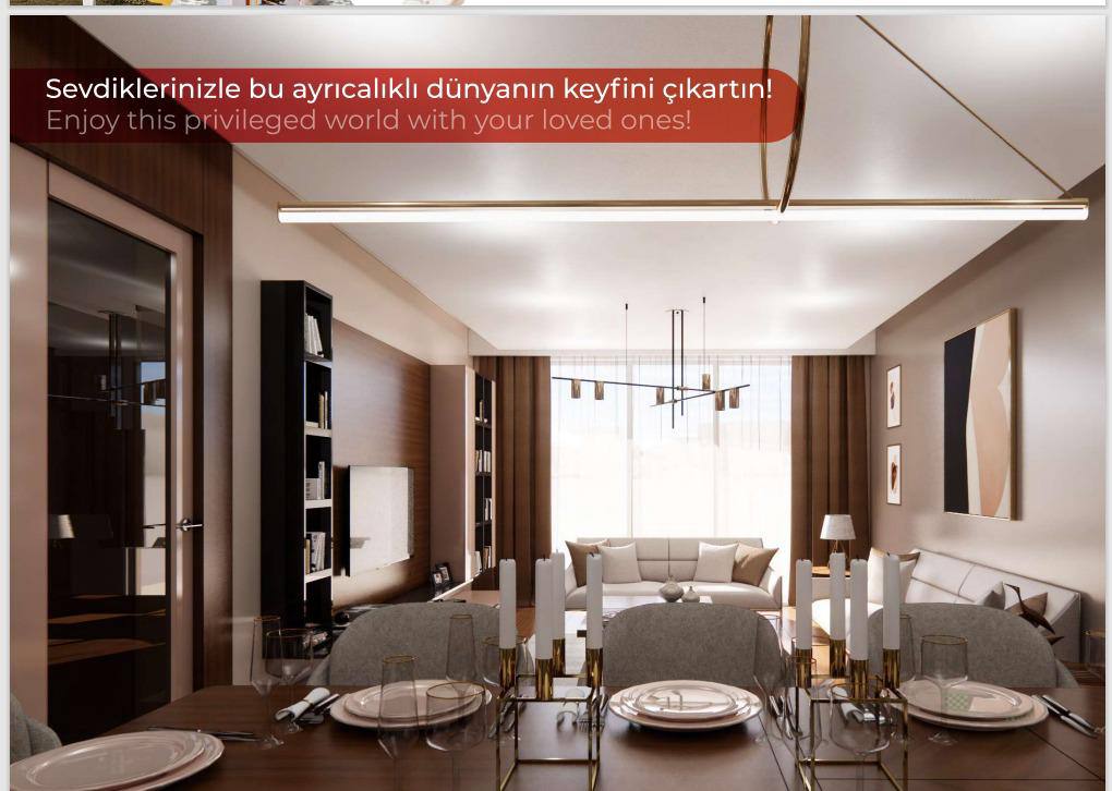Flamingo Panorama - Turkey - Ebankome